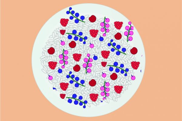 img3697120.png