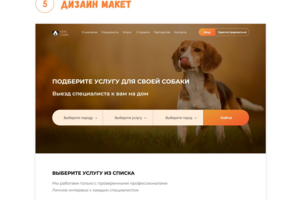 Редизайн для CLUB-SOBAK