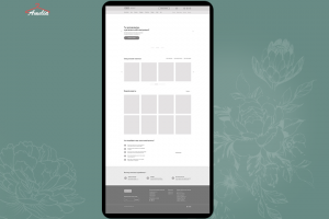 Прототип Amelia