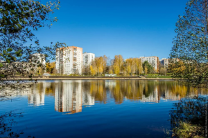 Новости Сарова