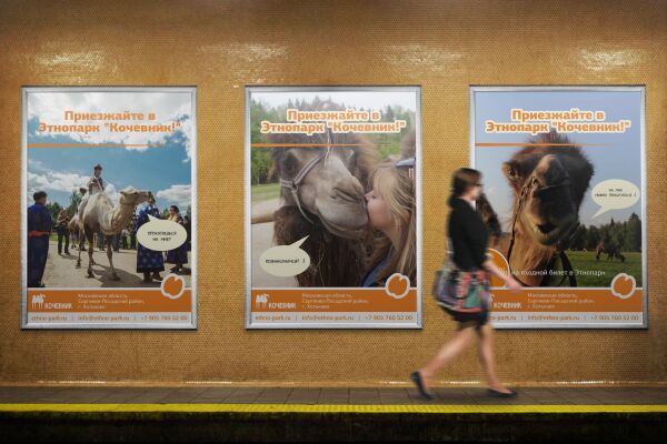 img3233865.png
