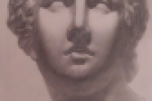 Работа 2308823