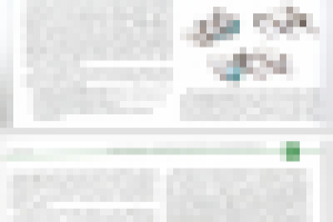 Рекламная статья в журнал.