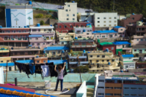 Работа 2955780