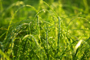 Работа 2955766