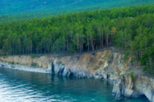 Работа 2955776