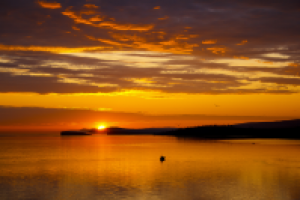 Работа 2955754