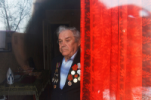 Работа 2955739