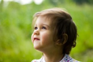 Работа 2955731