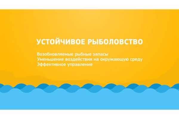 img2982033.png