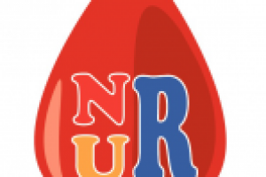 Конкурс , компания NUR (гранат)