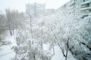 майский снегопад