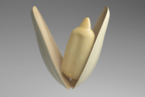 Семечка открытая