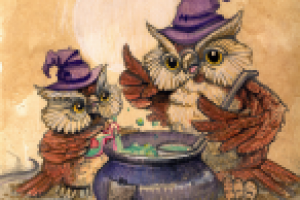 Совушки "любовный элексир"