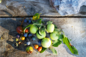 Утро. Дары гор.