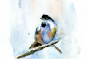 Работа 1644157