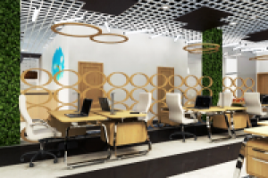 Вид на рабочую зону