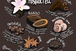 Серия иллюстраций о "Пользе специй и пряностей"