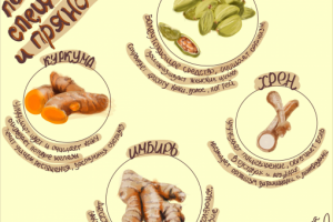 Серия иллюстраций о "Пользе специй и пряностей"