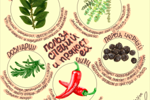 Серия иллюстраций о "Пользе специй и пряностей"