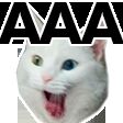 img3810410.png