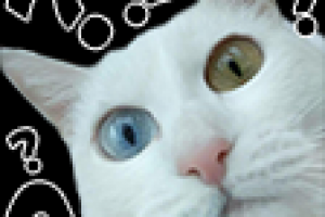 смайлики для twich 112x112