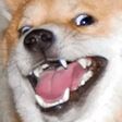 img3810407.png