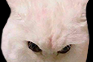 смайлики для twich 112x112