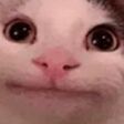 img3810404.png