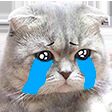 img3810403.png