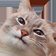 img3810401.png