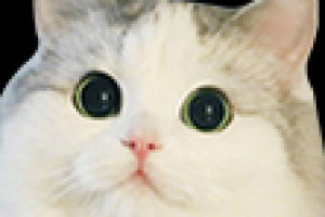 смайлики для twich 112x112