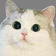 img3810400.png