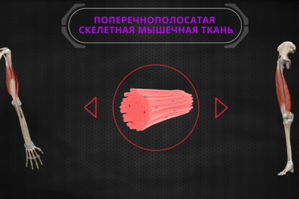 img3915172.png
