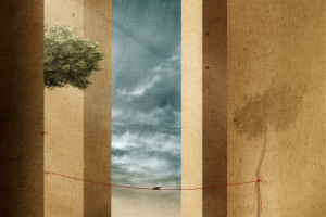 Серия коллажей "Таракашкины сны"