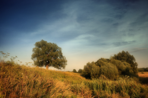 Работа 3960657