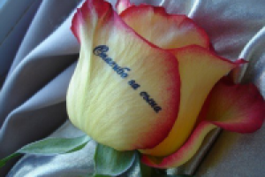 Аудиореклама магазина "Говорящие розы" (звонкий, молодой голос)