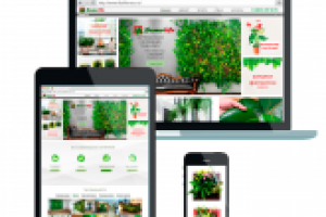 Сайт "под ключ"