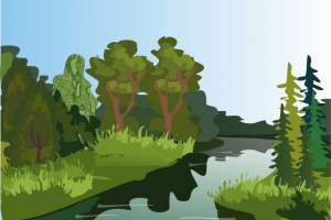 Работа 3520500