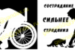 Работа 2765873