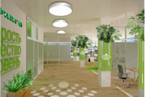 Работа 2786246