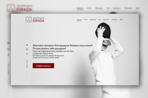 Школа Фехтования