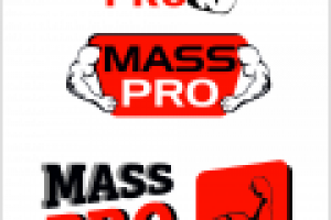 Работа 2158082