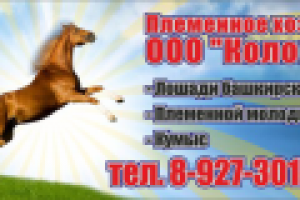 Работа 1548076