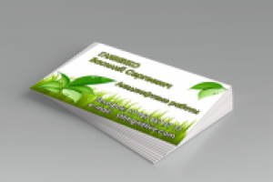 Работа 1980822