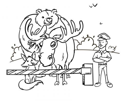 img3707711.png