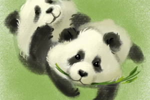 панды зарисовка