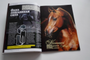 Журнал "Изюм Эксперт"