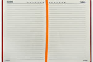 Ежедневник.