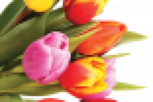 Работа 1694072